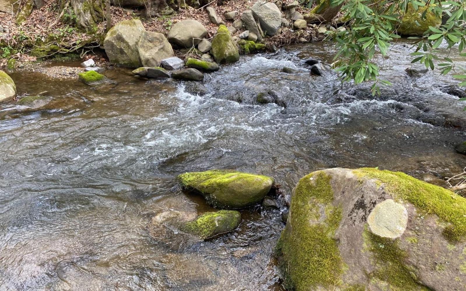 Shady Creek Gatlinburg Exterior foto